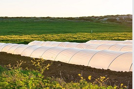 Propylene Spun bonded non—woven mulch mat for agriculture and horticulture applications