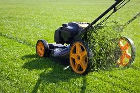 Tools for mowing or other gardening activities