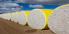 BIS/CRS Registration for Cotton Bales  IS 12171:2019  - By Brand Liaison