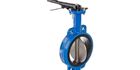 BIS Certifcate for Butterfly Valves for general purpose IS 13095 - By Brand Liaison